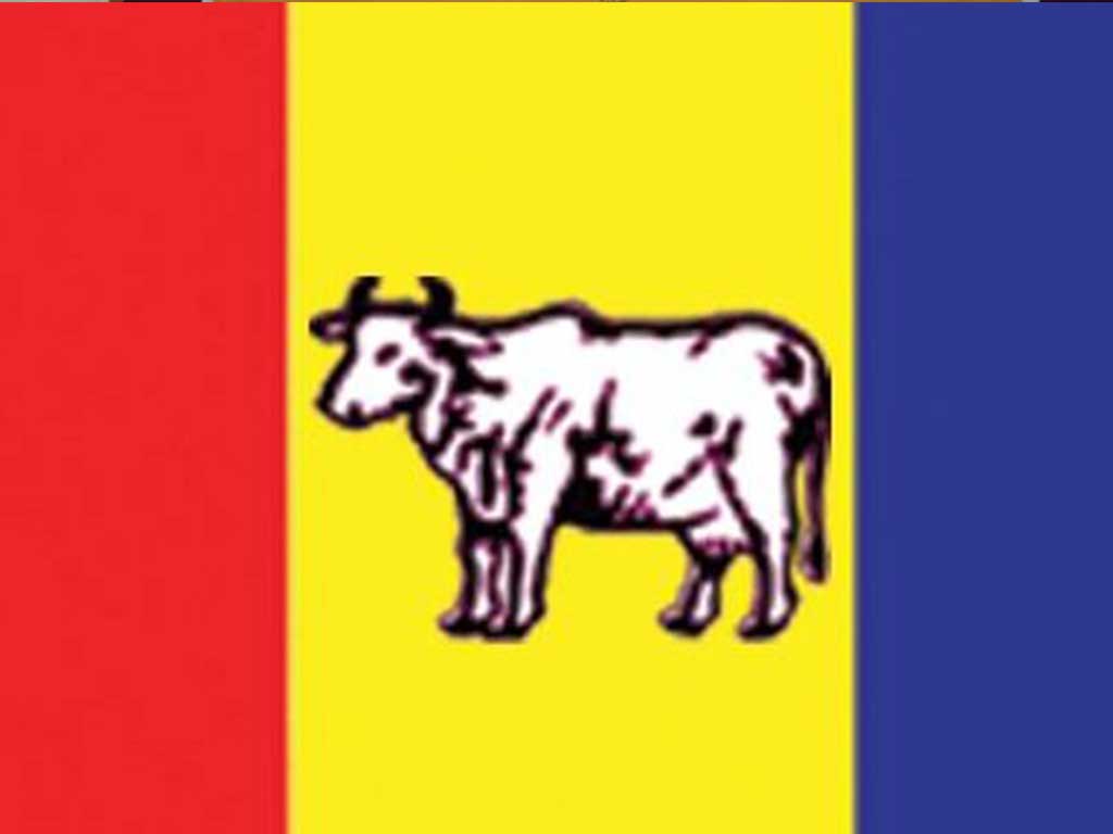 राप्रपाको प्रदेश अधिवेशन सम्पन्न